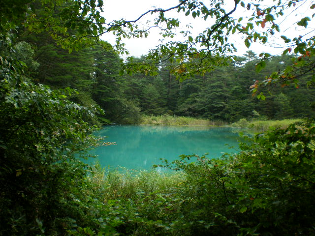 d0017172_20393998.jpg