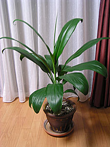 c0044075_222103.jpg