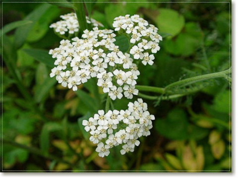 a0079880_19143975.jpg