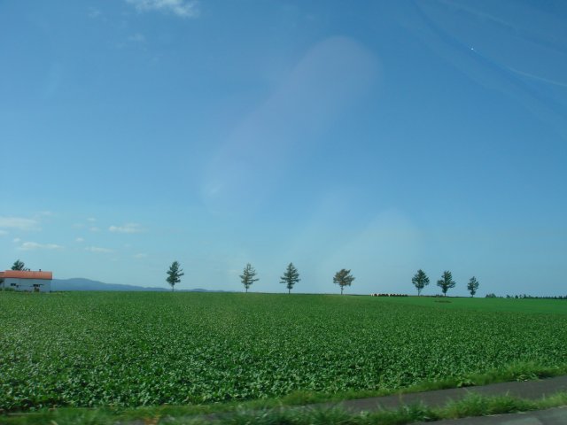 d0056588_13595483.jpg