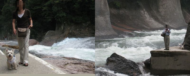 e0110888_10235.jpg