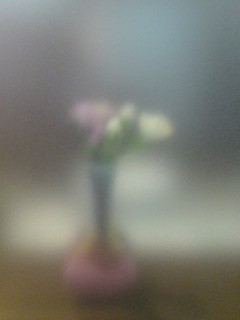b0035093_15421464.jpg