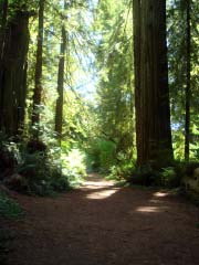 c0103793_10313752.jpg