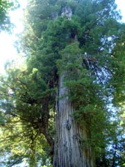 c0103793_10323089.jpg