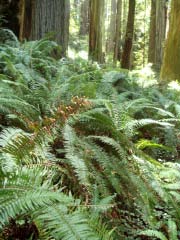 c0103793_10504479.jpg