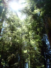 c0103793_10554283.jpg