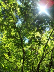 c0103793_1059161.jpg