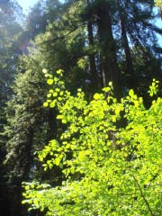 c0103793_110169.jpg