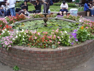 f0130894_1762066.jpg