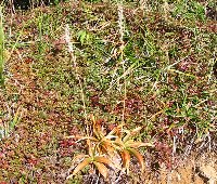 e0122199_22121327.jpg
