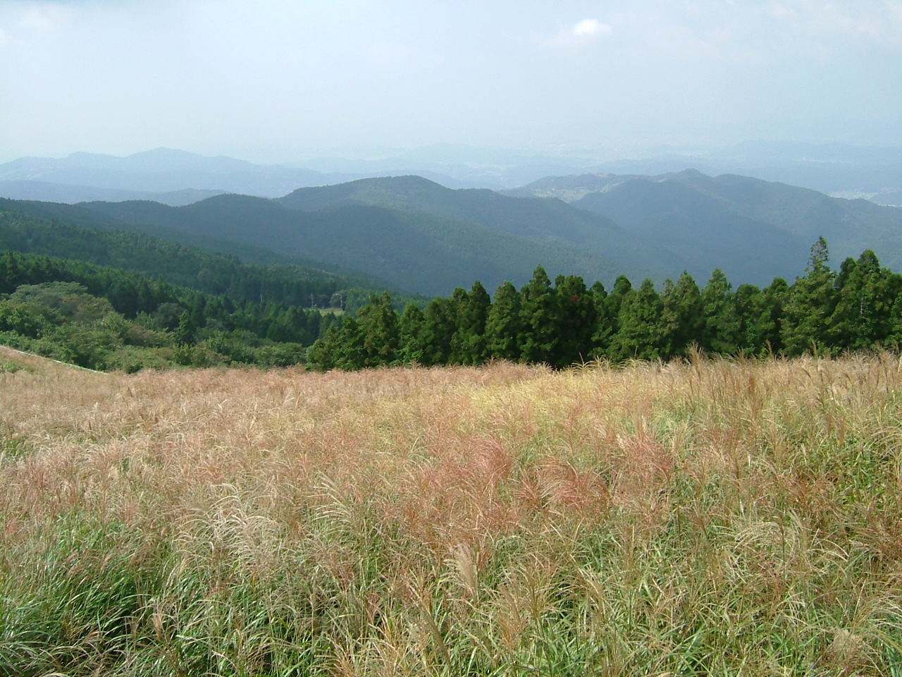 e0039100_23215483.jpg