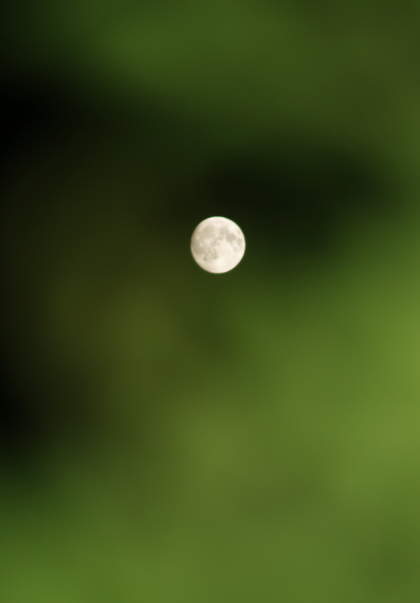 e0089001_22435530.jpg