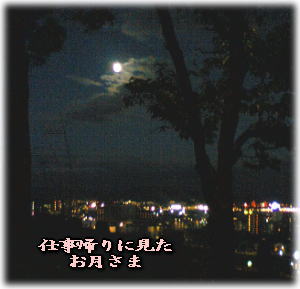 a0075802_2173344.jpg
