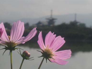 a0101802_19584846.jpg