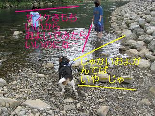 d0104209_20394735.jpg