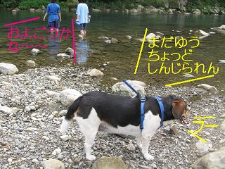 d0104209_20522797.jpg