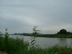 d0078311_8474196.jpg