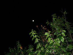 a0019212_2321889.jpg