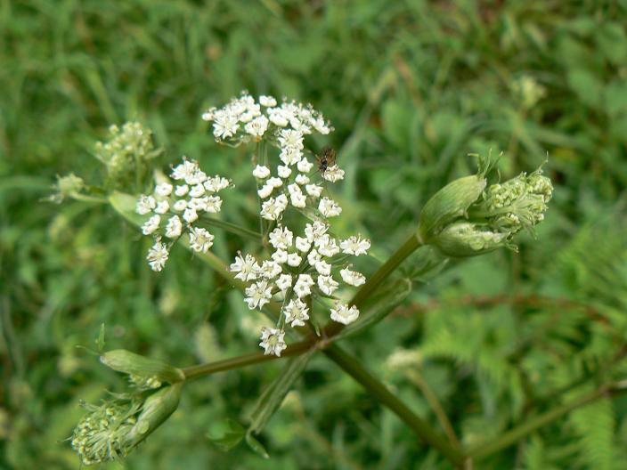 c0086014_22234851.jpg