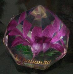 d0042214_0134360.jpg