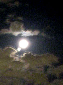 f0036716_2393346.jpg
