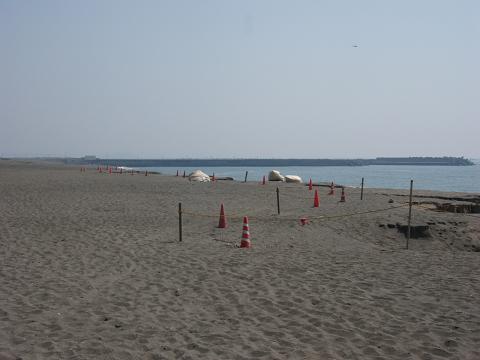 e0067218_8212854.jpg