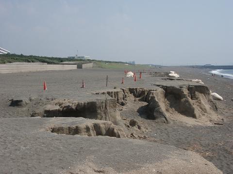 e0067218_8213863.jpg