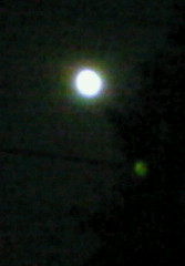 a0104619_19542351.jpg