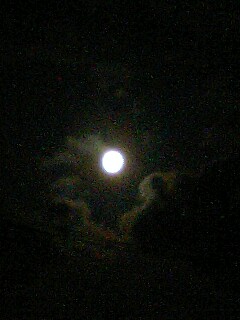 d0098619_18251918.jpg