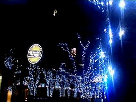 e0071923_2035719.jpg