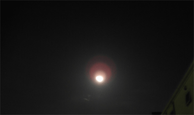 d0002224_21492156.gif