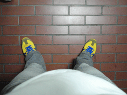 d0002224_21523192.gif