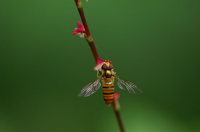 d0089024_15142152.jpg