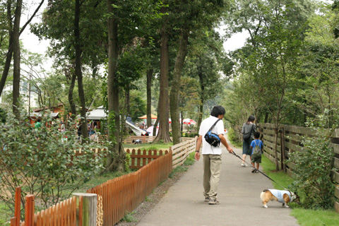 e0071225_236432.jpg