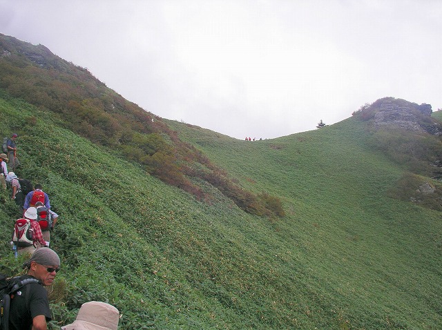 b0005432_12411327.jpg
