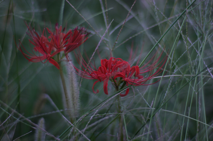 b0063234_2262867.jpg