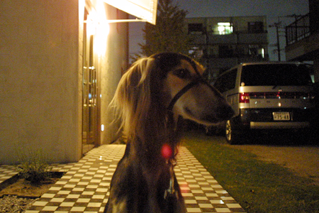 a0097735_0532556.jpg