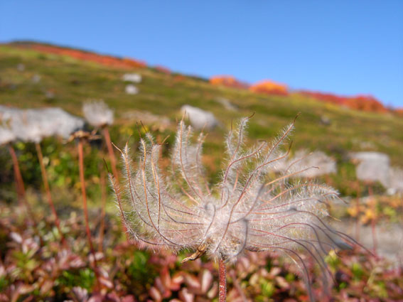 d0069235_23521620.jpg