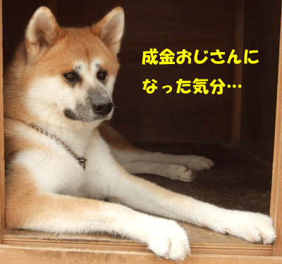 f0008935_1436452.gif