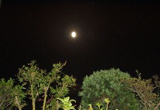 d0093936_20241992.jpg
