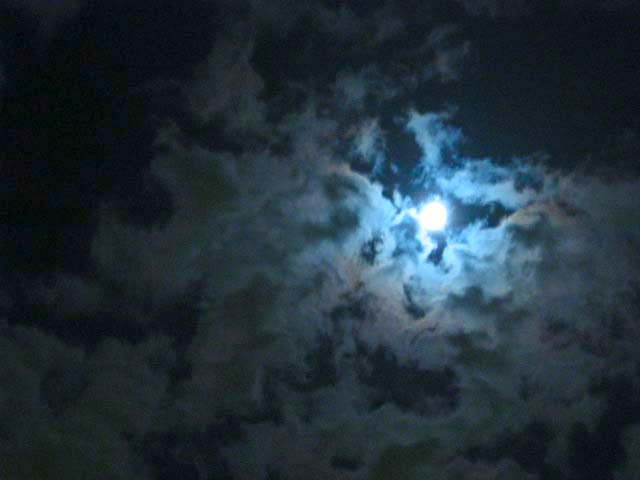 a0095337_23202468.jpg