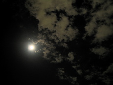a0068339_23584671.jpg