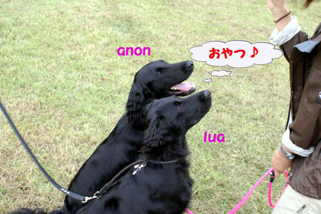 f0018144_1436781.jpg