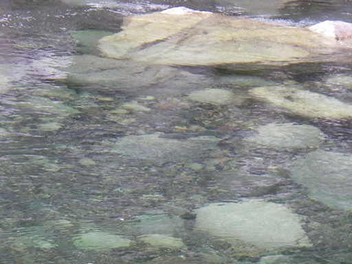 f0084544_6123040.jpg