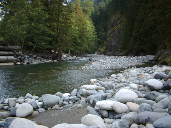 f0084544_6201537.jpg