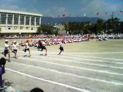 c0067646_9235226.jpg