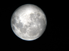 e0005548_23484597.jpg