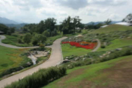 f0042548_22593971.jpg