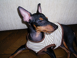 c0123149_14143439.jpg