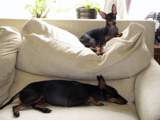 c0123149_1416393.jpg